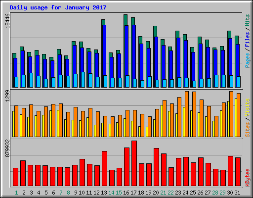 Daily usage for January 2017
