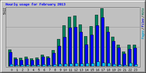 Hourly usage for February 2013
