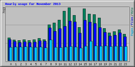 Hourly usage for November 2013
