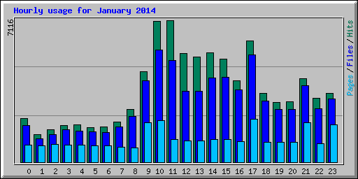 Hourly usage for January 2014