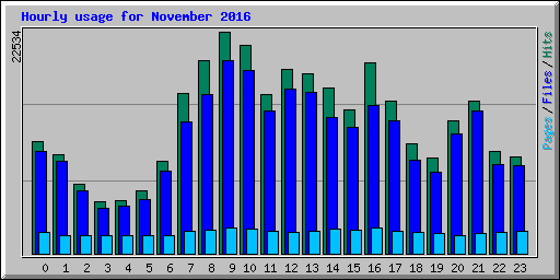 Hourly usage for November 2016