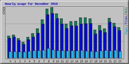 Hourly usage for December 2016