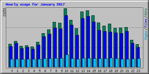 Hourly usage for January 2017
