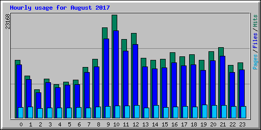 Hourly usage for August 2017