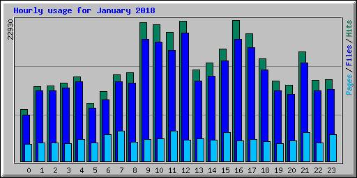 Hourly usage for January 2018